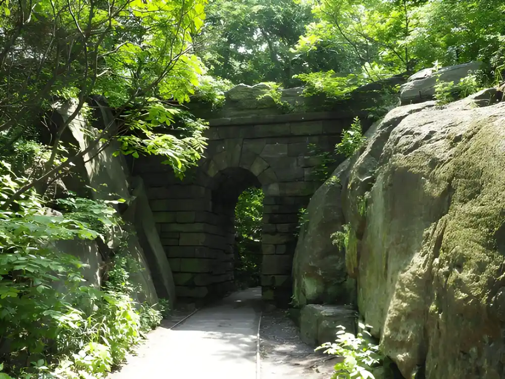 Central park tour, visit central park, picnic,