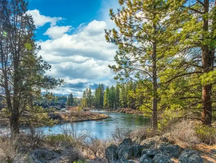 visit north woods,