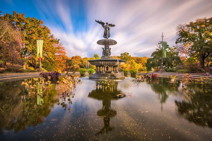 Central park tour, visit central park, picnic,