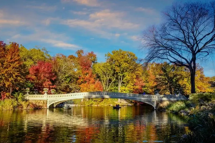 Central park tour, visit central park, picnic,