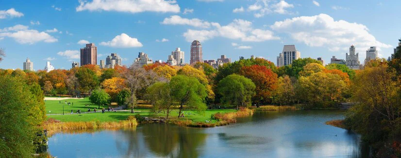 Central park tour, visit central park, picnic,