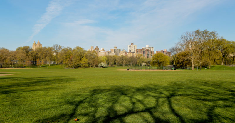 central park, north woods, Conservatory Garden, Conservatory Garden, The Pool, North Meadow, Onassis Reservoir, the ramble, Hallett Nature Sanctuary,