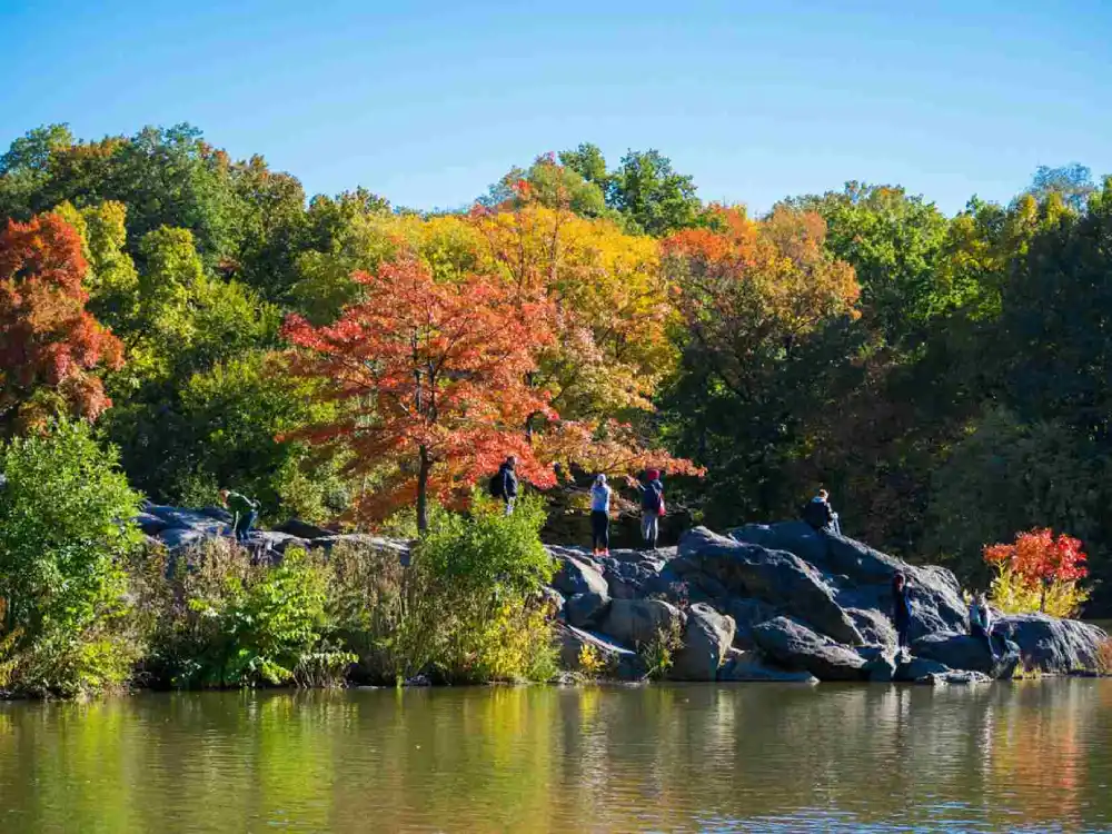 central park, north woods, Conservatory Garden, Conservatory Garden, The Pool, North Meadow, Onassis Reservoir, the ramble, Hallett Nature Sanctuary,