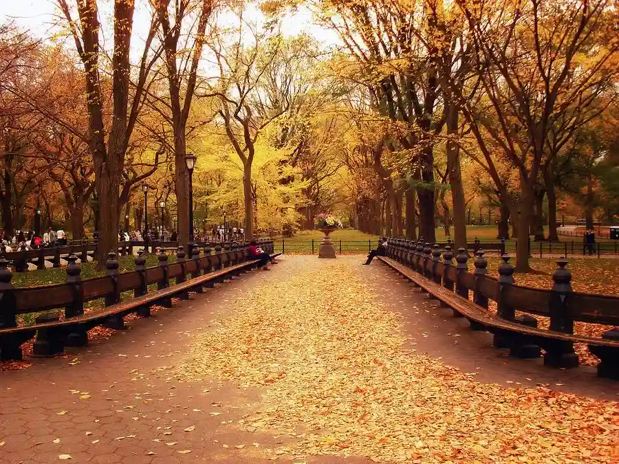 central park, north woods, Conservatory Garden, Conservatory Garden, The Pool, North Meadow, Onassis Reservoir, the ramble, Hallett Nature Sanctuary,